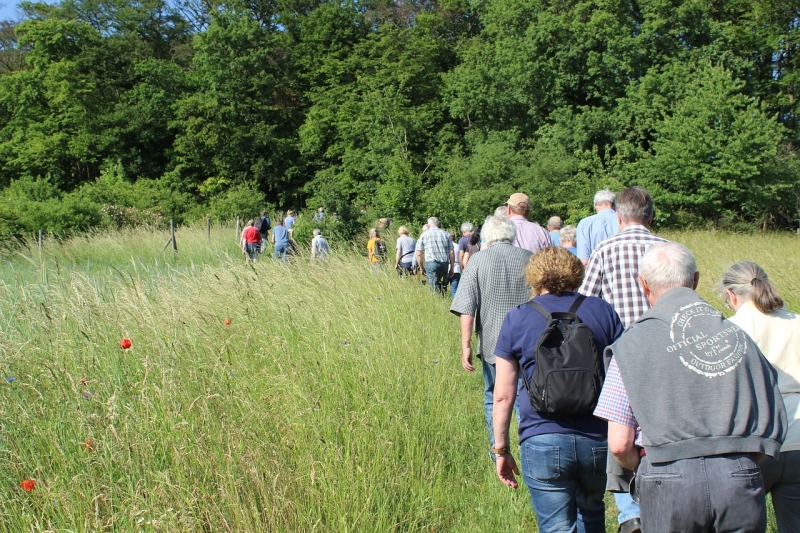 Peace Walk