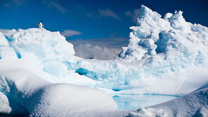 Antarctic 
