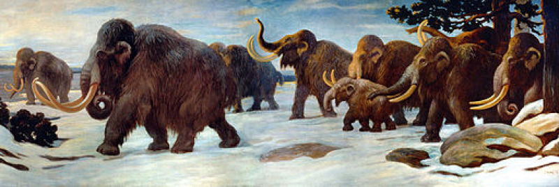 Mammoth