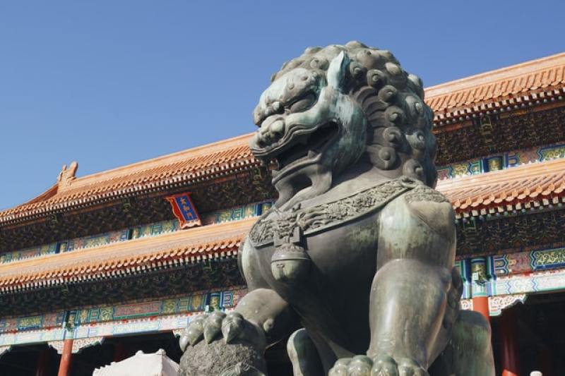 China dog