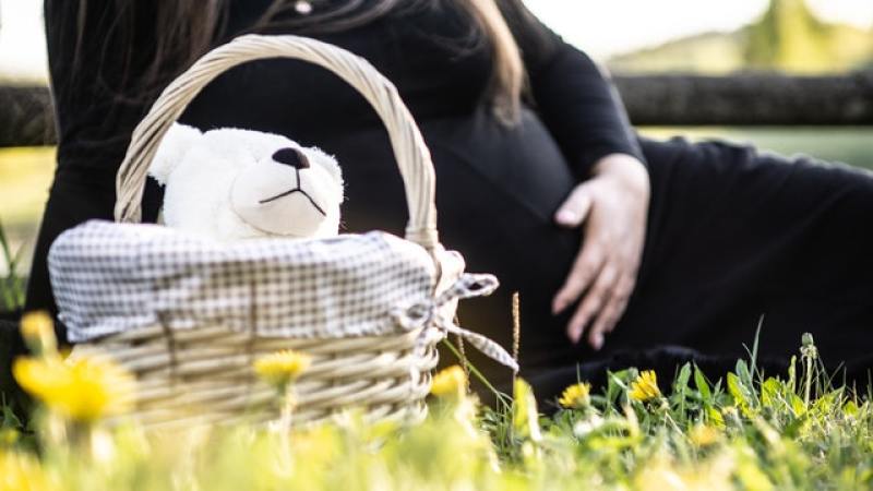 pregnant woman sitting on grass beside basket with a teddy bear