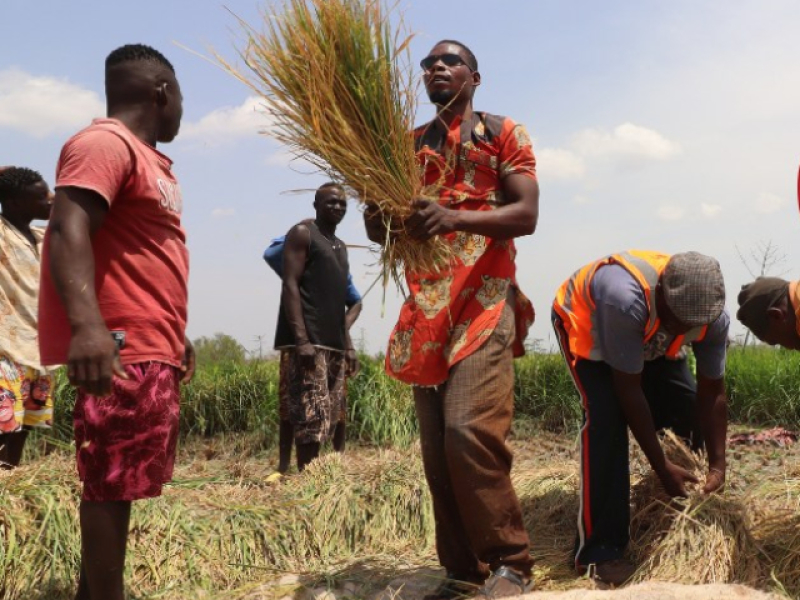 Islamic Group in West Africa Claims Responsibility for Bombing That Targeted Christians